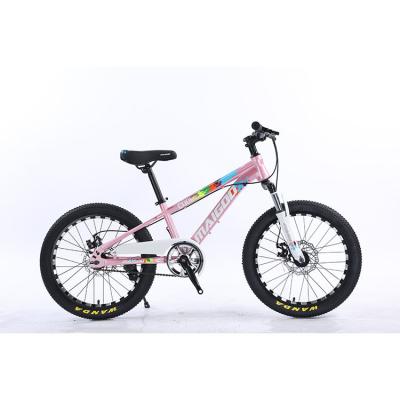 China Bicicleta para niños de 20 pulgadas Bicicleta para niños de velocidad única Bicicleta con horquilla de suspensión de acero en venta