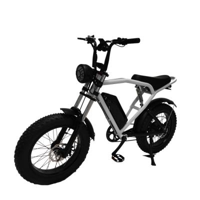 China Off-Road 20*4.0 Kenda Tire Electric Bike para viagens emocionantes e transporte rápido à venda