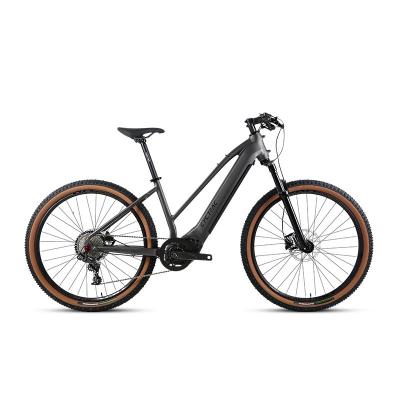 China Bicicleta elétrica de bateria de lítio de 48V15Ah com motor de tração central M510 e peças Sram NX à venda