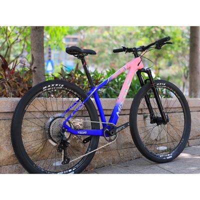 China 12 Speed Downhill Mountain Bike met Sunshine 11-50T Cassette en Aluminium Alloy Vork Te koop