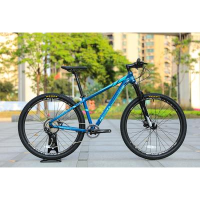 China 29er Speed Mountain Bike with Custom Carbon Fiber Frame and Prowheel TEN-M601 Crankset for sale