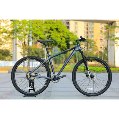 China Prowheel TEN-M601 Alu Alloy Hollow Crankset 29 Inch Mountain Bike/22 Speed Carbon MTB for sale