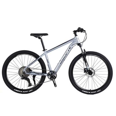 China Front and Rear Wheel Disc Brake Mountain Bike 26/27.5/29 inch with Hollow Chainwheel 13s for sale