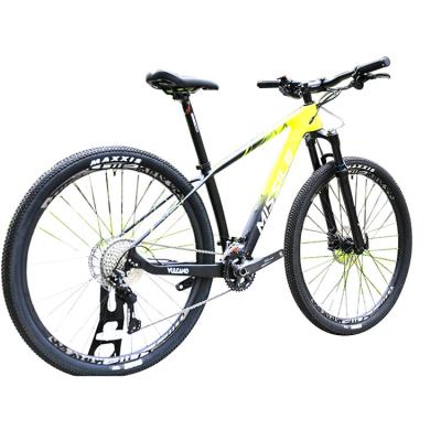 China Adult Mountain Bicycles 29 Inch Mtb Bike with Aluminum Alloy Fork and 160mm Brake Disc Pads for sale