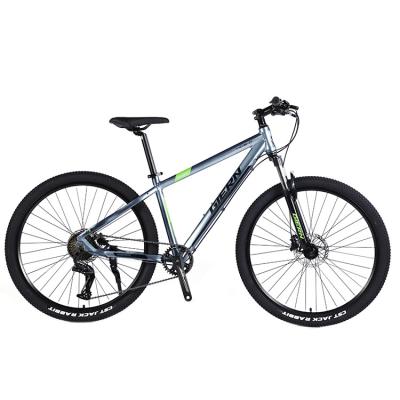 China Double Wall Rim 29 Inch Mountain Bike For Adults On Road Riding for sale