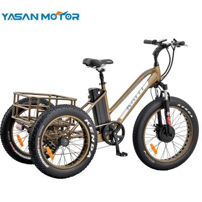 China 2019 Super Luxury Electric Cargo 24 Inch Tire BaFang 500w Fat Tricycles For Adults/Senior People for sale