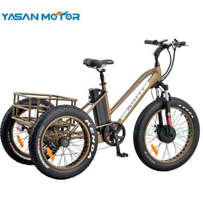 China 48V Aluminum 500W 4.0 Inch Lithium Battery 3 Wheel Tire Fat Cargo Electric Bike For Adults for sale