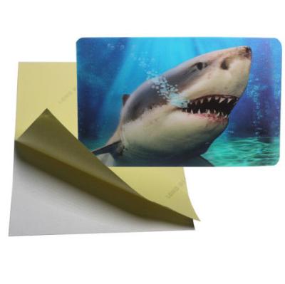 China Fábrica de impresión lenticular modificada para requisitos particulares LENTICULAR PLÁSTICA sticker-3d de la etiqueta engomada del ANIMAL DOMÉSTICO 3D de la etiqueta engomada lenticular del movimiento del tirón 3d en venta