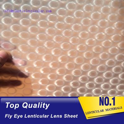 China PLASTIC LENTICULAR flys eye 3d plastic sheet double sides 0.5mm fly-eye lenticular lenses sheet for sale