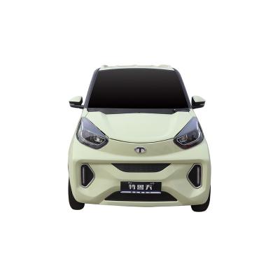 China New Arrival T6 Leather Electric Adult Vehicles for sale