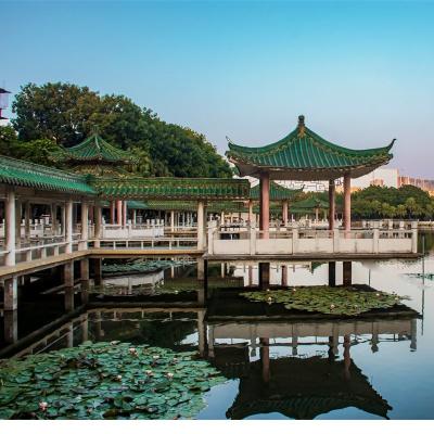 China Pabellón cuadrilátero esmaltado verde del Gazebo de la teja de tejado con el pasillo para refrescarse y la visión del paisaje en venta