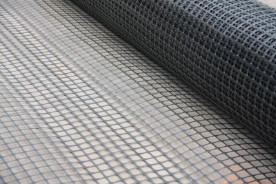 China Polyester Composite Geo Grid Ground Grid Polyethylene Membrane zu verkaufen