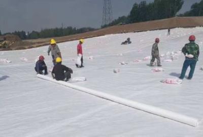 Китай Игла Geotextile полиэстера штапельного волокна не сплетенная пробила продается