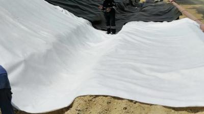 Китай Nonwoven ткань ASTM Geosynthetic циновки Geotextile нити полипропилена продается