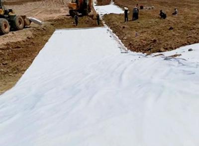 Китай 2m усиленная ткань Geotextile PP/PET для подъездной дороги гравия износоустойчивой продается