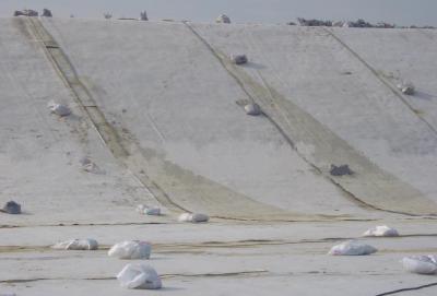 China Paisagem PP barreira não tecida da erva daninha da parede de retenção da tela do geotêxtil de 8 onças à venda