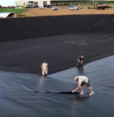 Cina Costo della fodera dell'HDPE di Plastik Geomembrane Geosynthetic di ingegneria del bacino idrico per m2 in vendita