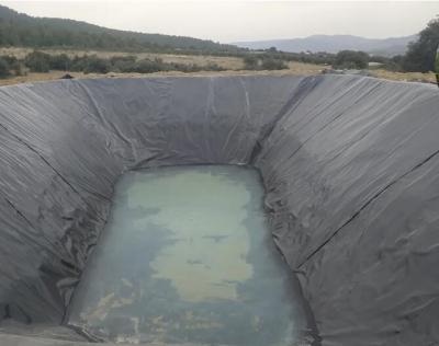 중국 Root Barrier HDPE Membrane Liner 40 Mil For Water Tank Swimming Pool 판매용