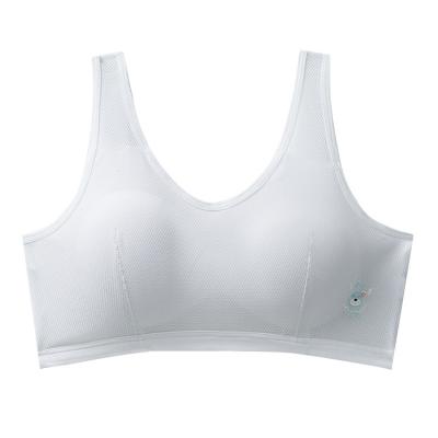 China Breathable Wire Free Breathable Padded Push Up Bra Small Breasts Women Seamless Bra for sale