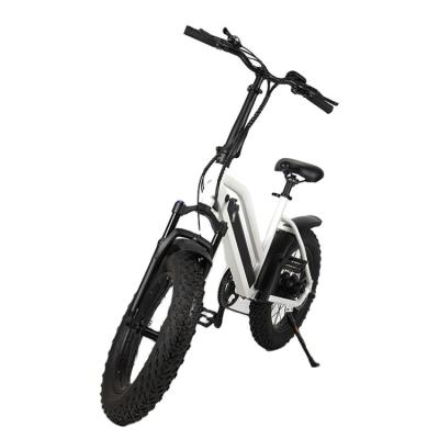 China JYL 6061 aluminum alloy factory supply big aluminous alloy frame E tire bike electric bicycle for men for sale