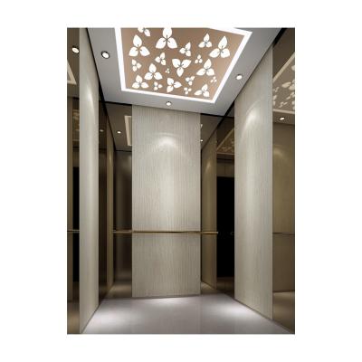 China Indoor And Outdoor Hydraulic Passenger Elevator Modern Small Elevator Household Elevator for sale