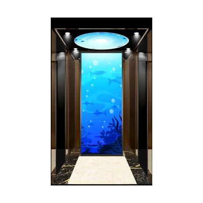 China Modern Custom Made Passenger Elevators Fit Luxury Hotel Elevator for sale