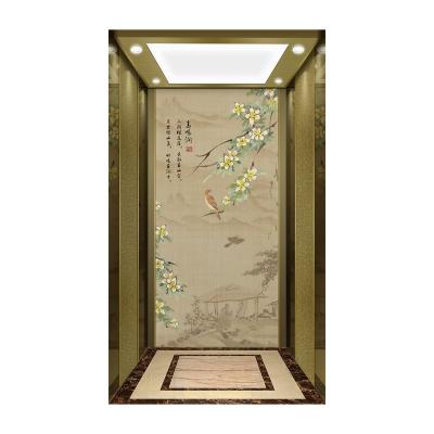 China New Type Modern Home Elevator Bucket Lift Attractive Price Home Elevator-Use for sale