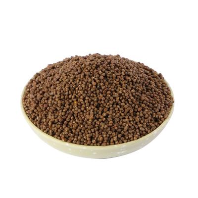 China Good Absorption Viable High Protein Baby Bird Food for sale