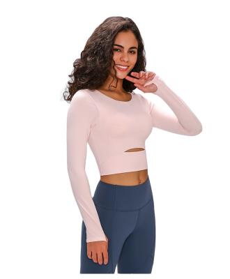 China Breathable Long Sleeve Women Crop Top Yoga Equipment Yoga Wear Tops for sale