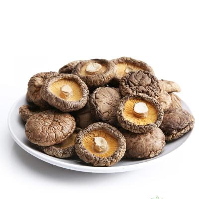 China Wholesale Dried Shiitake Mushroom Flower Shiitake Mushroom High Quality Organic Dried Whole Mushroom (4-5cm) en venta