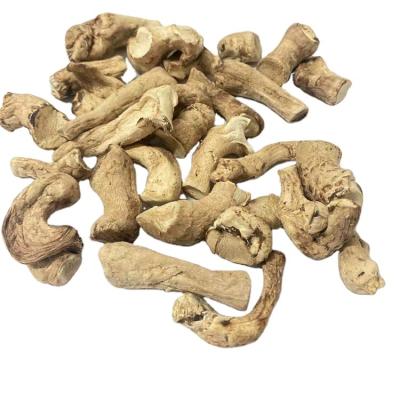 China Dried Outstanding Quality Shiitake Foot Shiitake Mushroom Stem Mushroom Root en venta