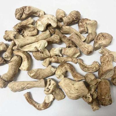 中国 Wholesale Dried Shiitake Foot Shiitake Mushroom Stalk For Factory Based Meat Vegan Meat 販売のため