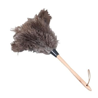 China Best Selling Family Factory Price Real Ostrich Feather Feather Duster Car Cleaning Cloth With Wooden Handle for sale