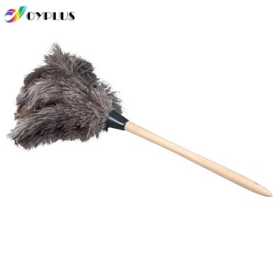 China Wholesale China Supplier Family Office Ostrich Feather Duster Handle Cleaning Wood Cloth for sale