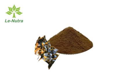 China Antioxidants Organic Kombu Extract Powder Ratio Extract for sale