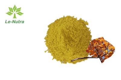 China 80% Pure Bulk Fisetin Powder Cotinus Coggygria Extract Anti Tumor for sale