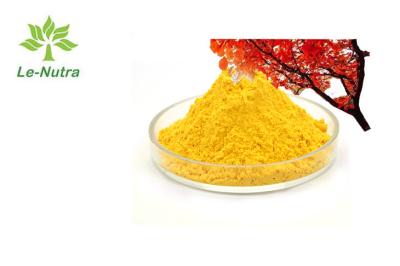 China 85% 96% Pure Fisetin Powder Bulk Smoke Tree Extract Natural Supplement for sale