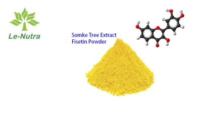 China El extracto Fisetin del árbol de humo pulveriza el 96% CAS 528-48-3 Fustel en venta