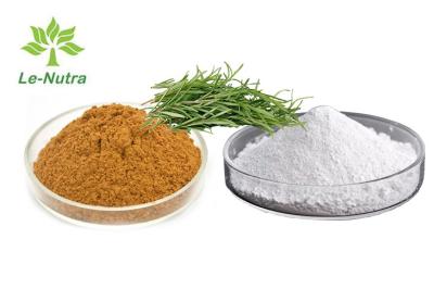 China Polvo herbario de Rosemary Oleoresin Extract Rosmarinic Acid en venta