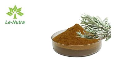 China Rosemary Leaf Extract Powder Antioxidant herbaria para la piel en venta