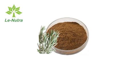 China Natural Antioxidant Rosmarinus Officinalis Leaf Extract Powder for sale