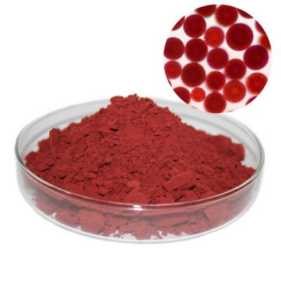 China Cas 472-61-7 C40H52O4 Haematococcus Pluvialis Powder Natural Astaxanthin Powder for sale