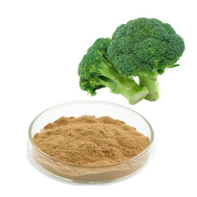 China Polvo de Sulforaphane del extracto de la semilla del bróculi del 1% en venta