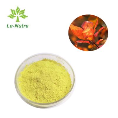 China Polvo de Le Nutra Natural Fisetin en venta