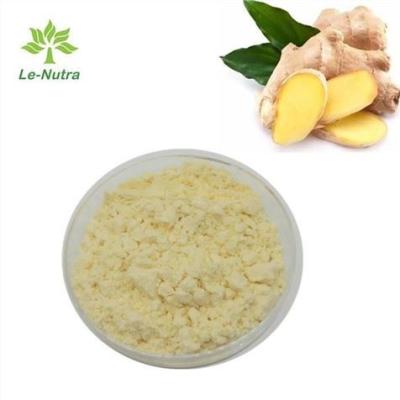 China FDA Ginger Extract Supplement Powder Spicy Aromatic for sale