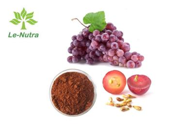 China 95% Dietary Supplement Powder Grape Seed Extract polyphenols proanthocyanidins for sale