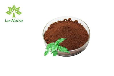 China Rhizoma Drynariae Extract Herbal Extract Powder For Fractures for sale