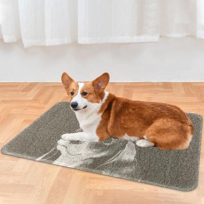 China 2022 Viable Hot Selling Intercept Dust Protect Floor Skid Resistance Wear-Resistance Summer Pet Mat Professional Manufacturer for sale