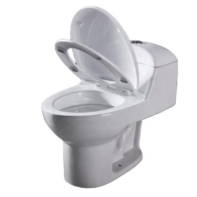 China Concealed Cistern Sanitary Ware Inodoro Ceramic Siphonic One Piece Toilet For South American Supermarket for sale