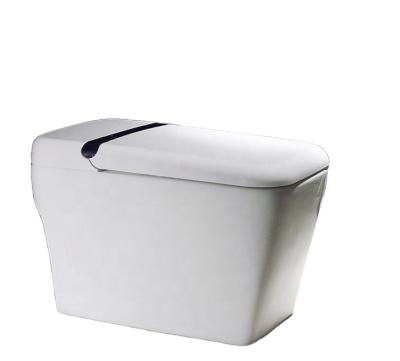 China Installation Floor Type Electric Smart Toilet Automatic Toilet Toilet Remote Control Toilet for sale